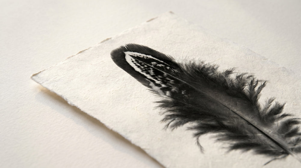 Barloga Studios - Paperprints – Milk