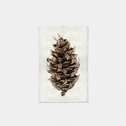 Paper Print Douglas Fir