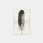 Paper Print Pluma Carancho Juvenil #4122