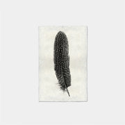 Paper Print Pluma #5