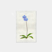 Paper Print Etta
