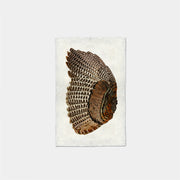 Paper Print Pluma Ala Pavo Izquierda
