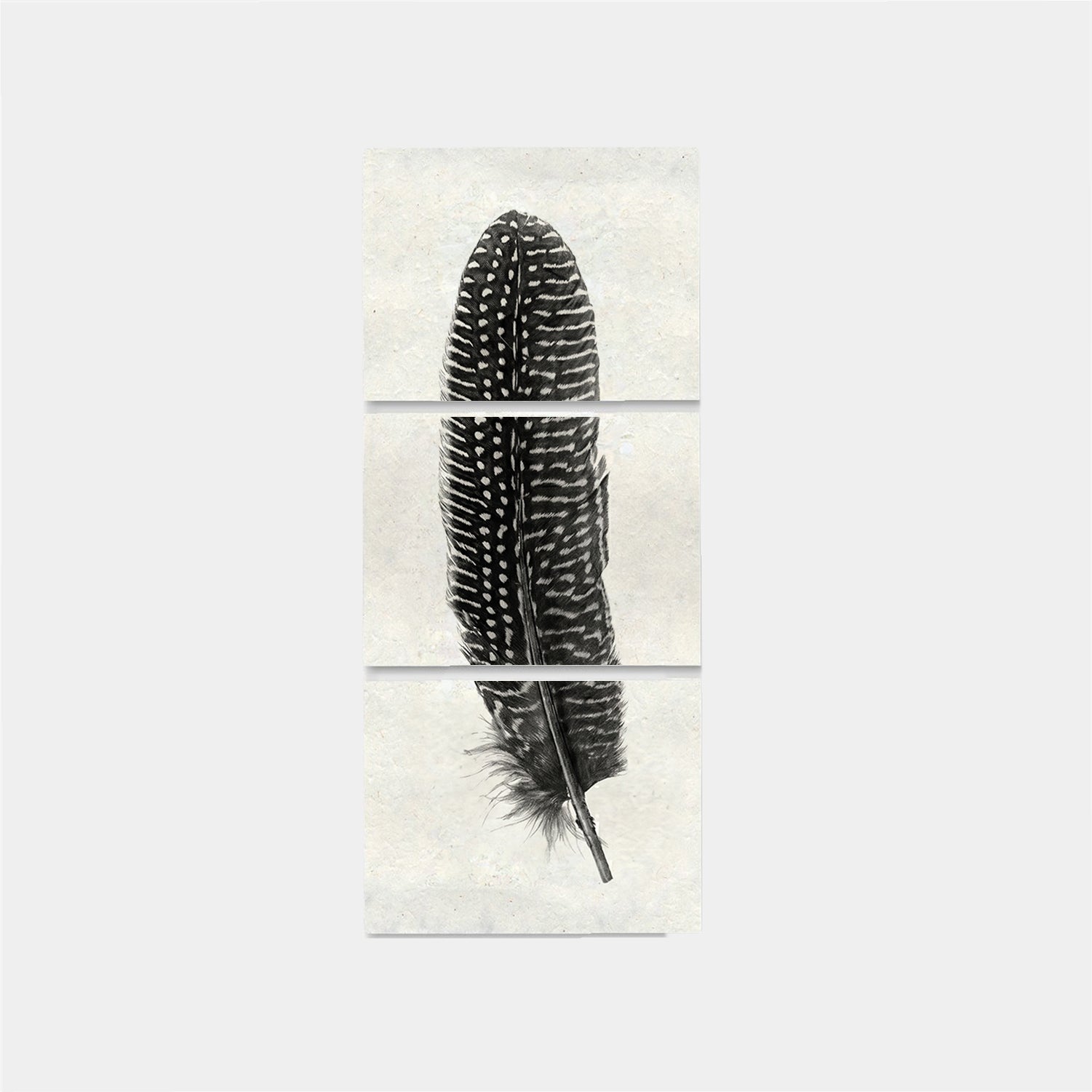 Paper Print Pluma #5 Trilogia