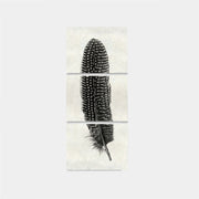 Paper Print Pluma #5 Trilogia