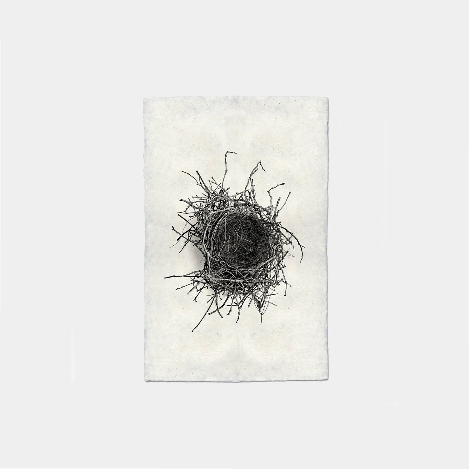 Paper Print Nido #2