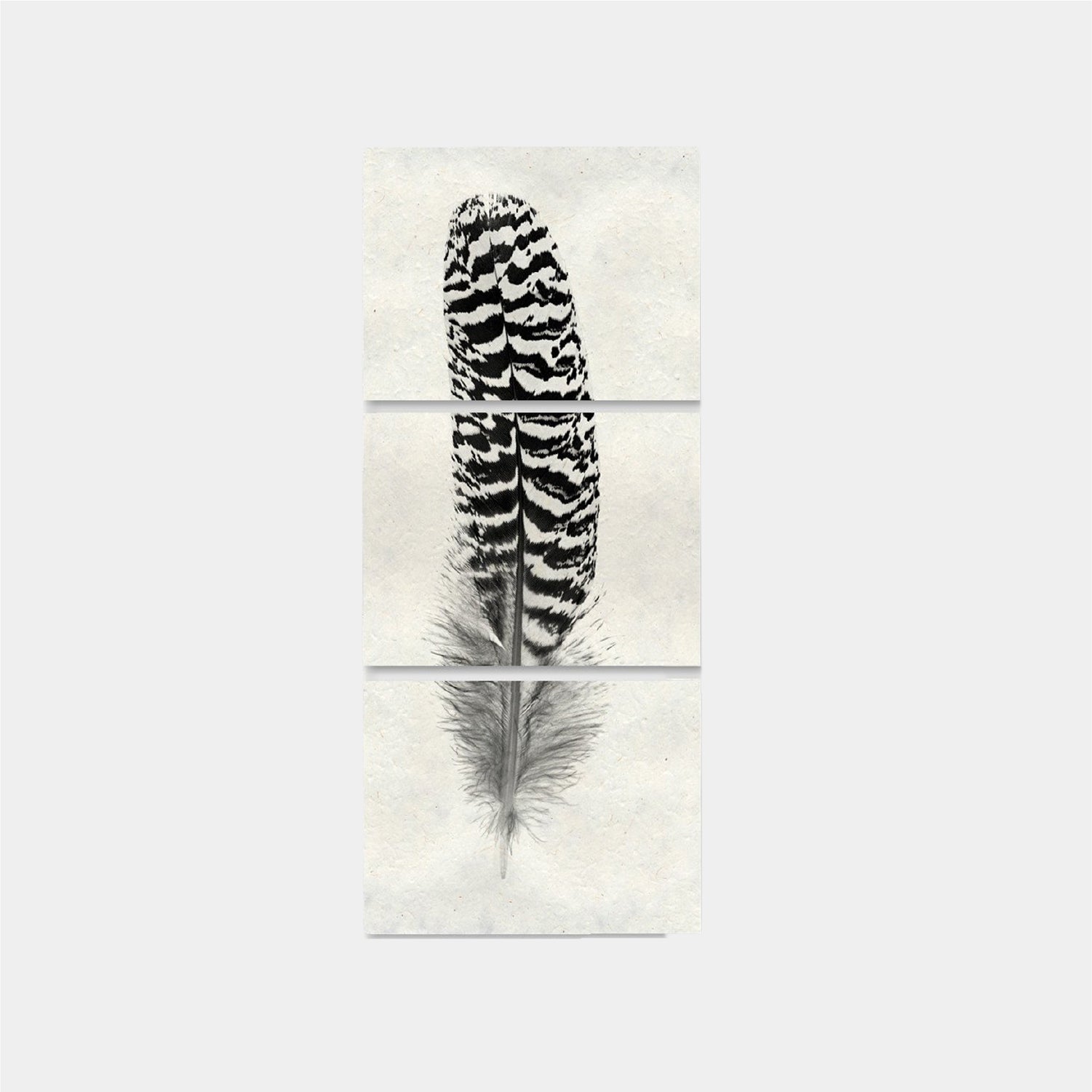 Paper Print Pluma #13 Trilogia