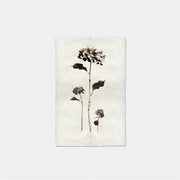 Paper Print Hortensias