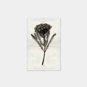 Paper Print Forma De Brunia