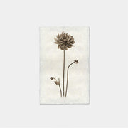 Paper Print Dalia Unica