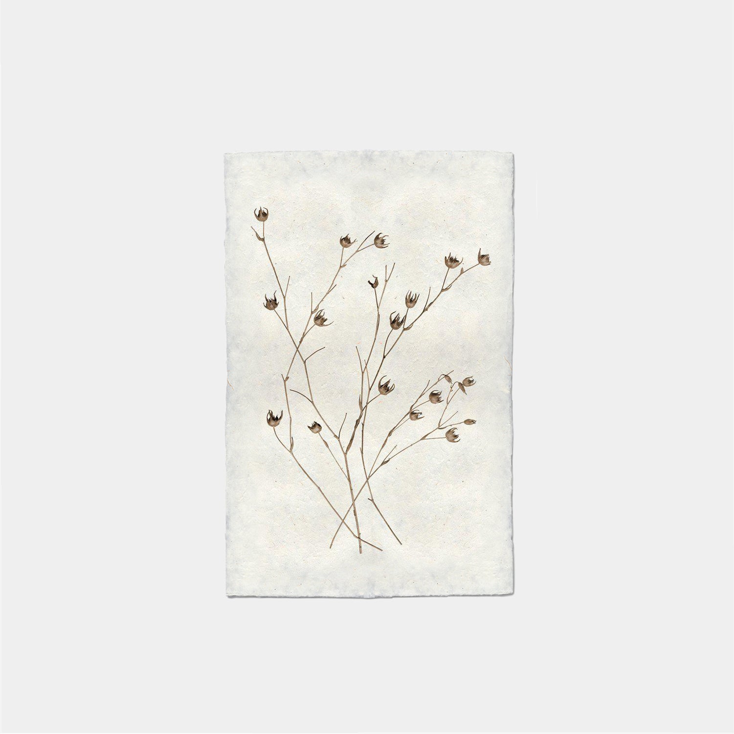 Paper Print Forma De Petalo