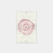 Paper Print Ranunculus Blush