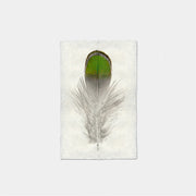 Paper Print Faisan De Lady Amherst