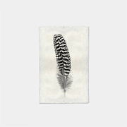 Paper Print Pluma #13