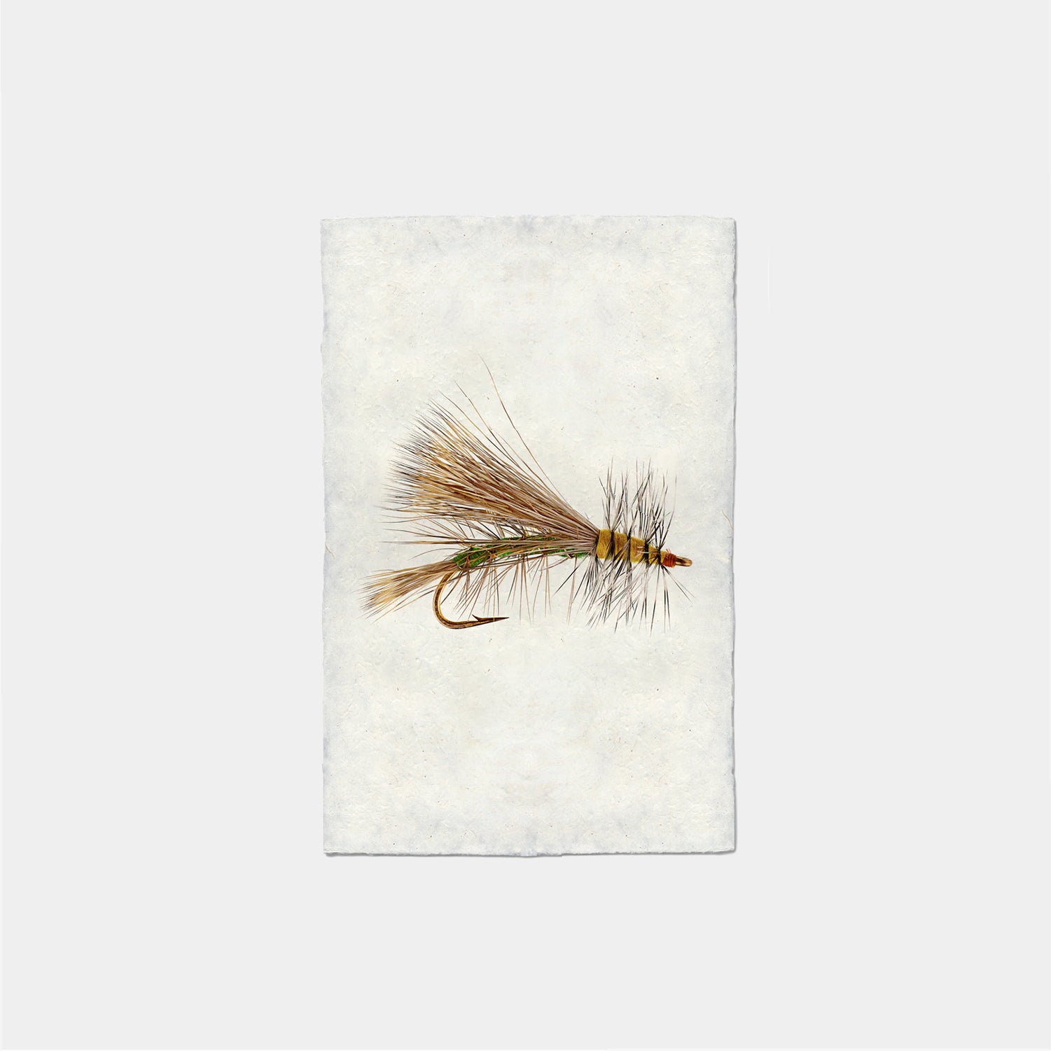 Paper Print Olive Stimulator