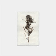 Paper Print Forma De Banksia
