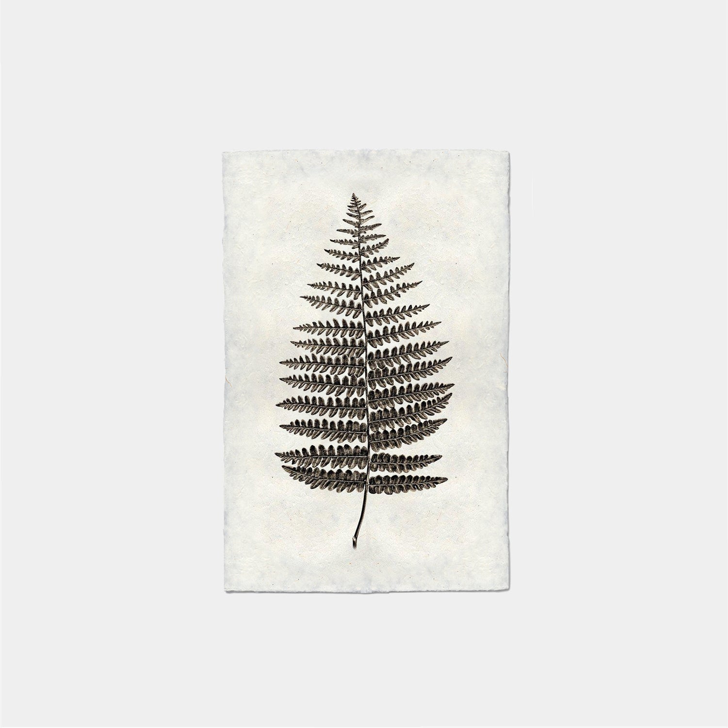 Paper Print Helecho #1